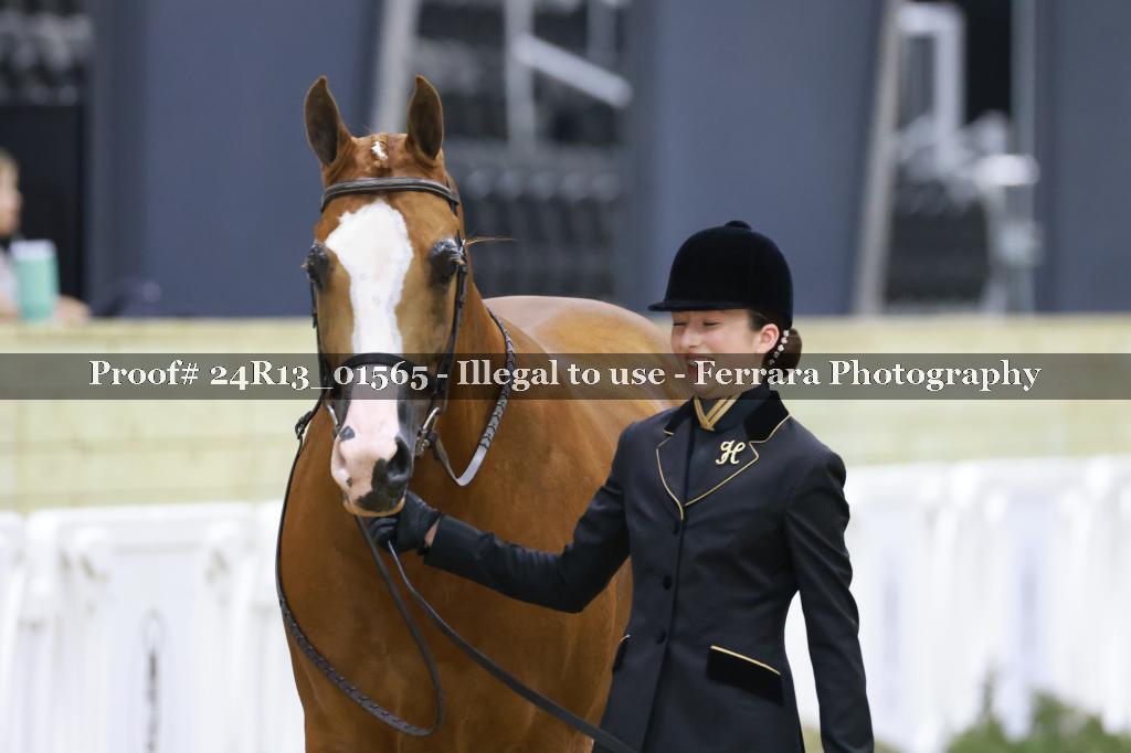 Proof 24R13_01565