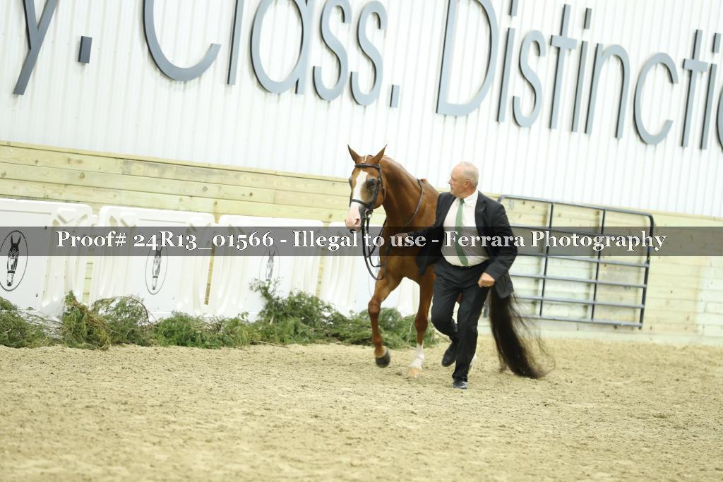 Proof 24R13_01566