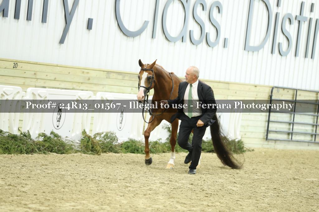 Proof 24R13_01567