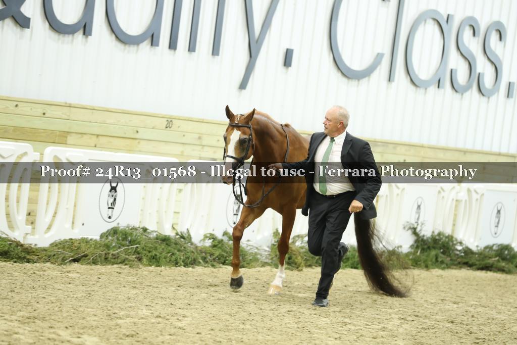Proof 24R13_01568