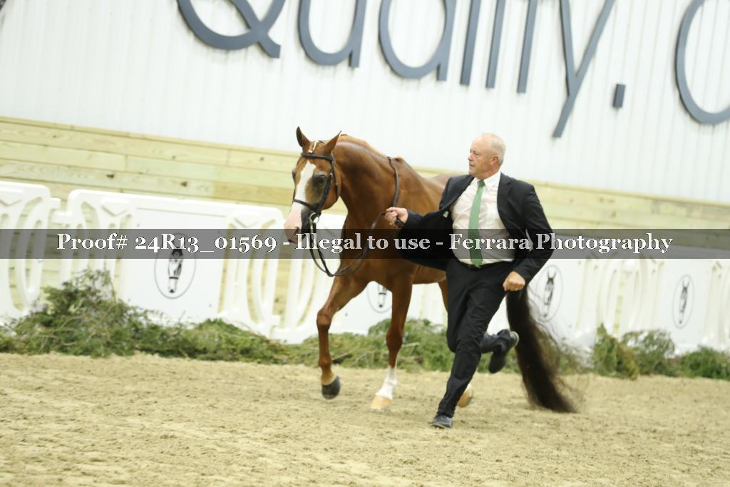 Proof 24R13_01569