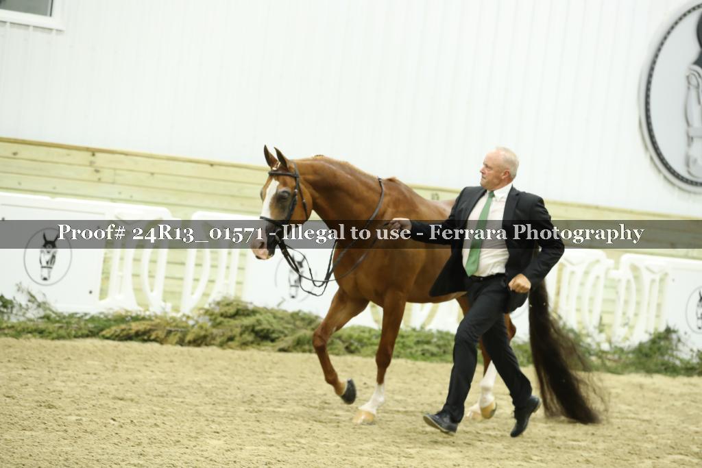 Proof 24R13_01571