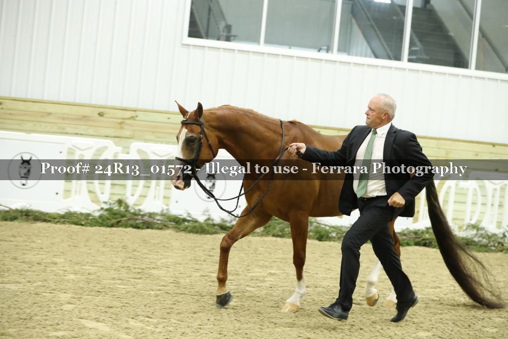 Proof 24R13_01572