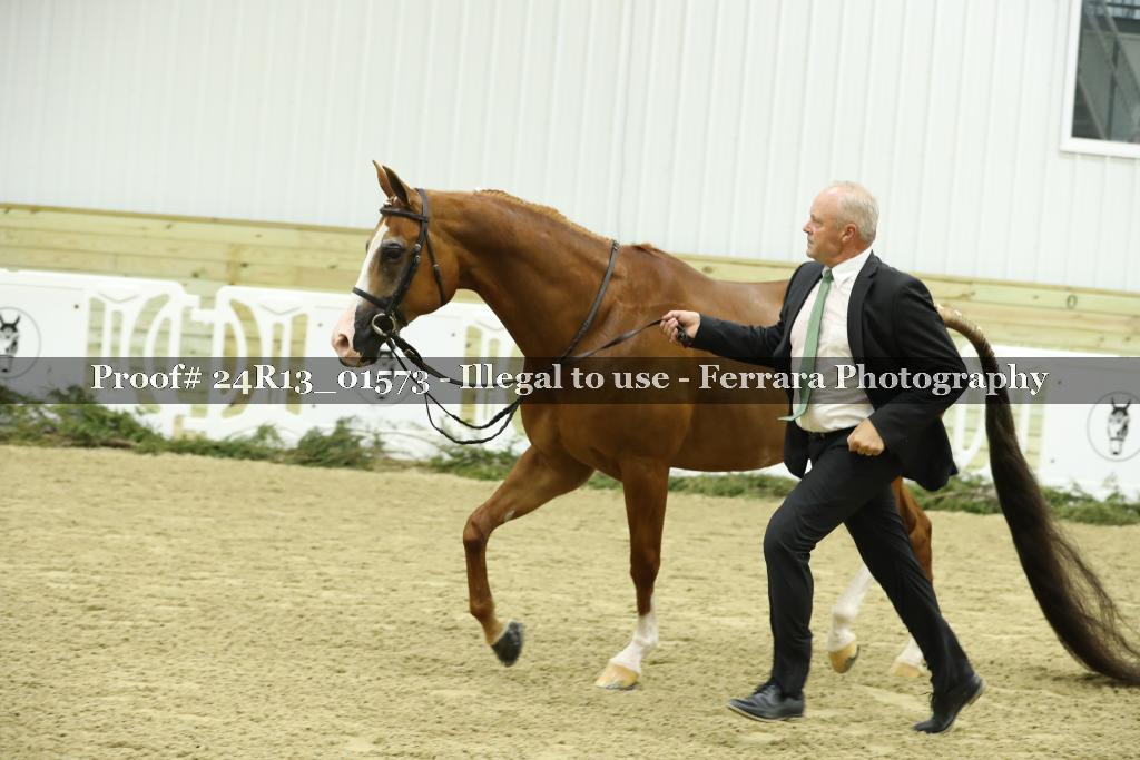 Proof 24R13_01573