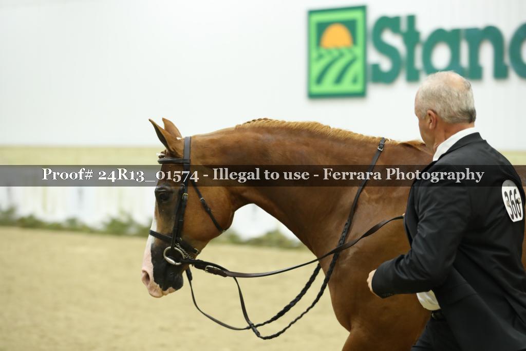Proof 24R13_01574