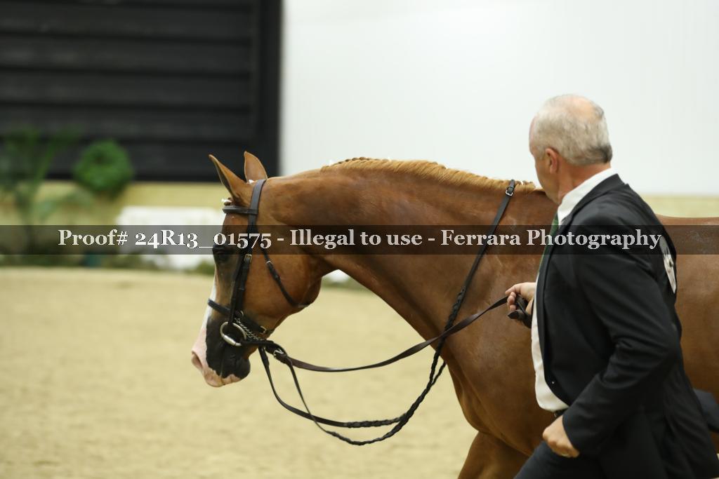 Proof 24R13_01575