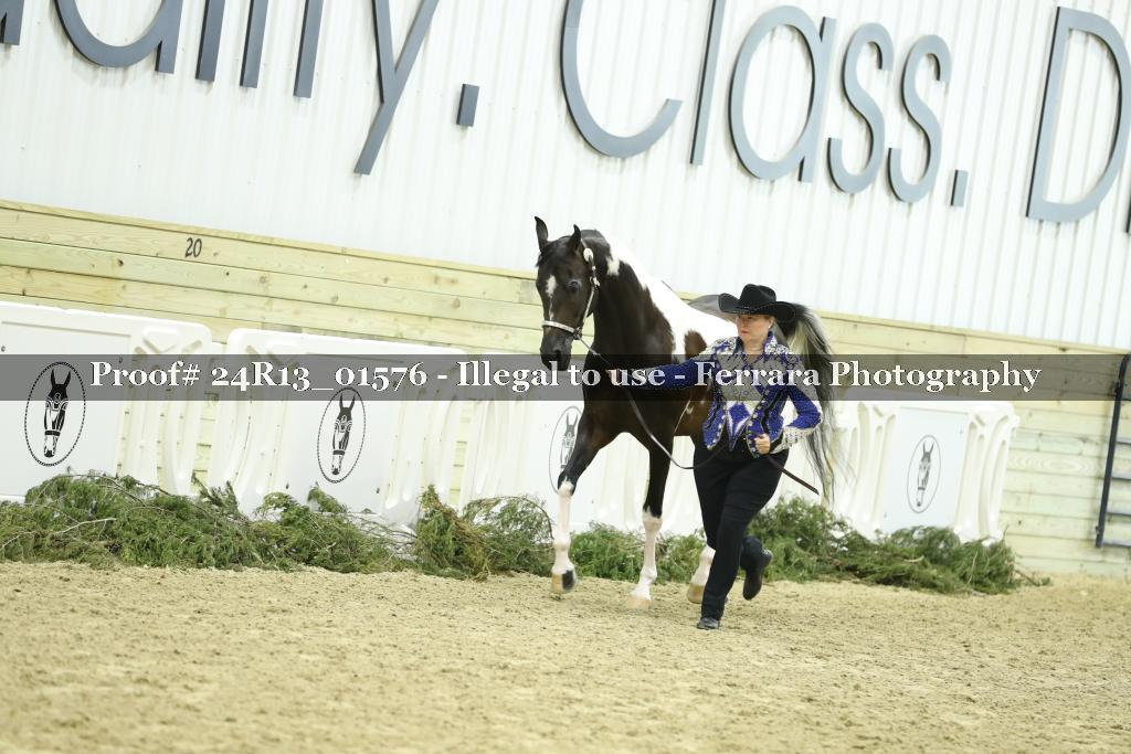 Proof 24R13_01576