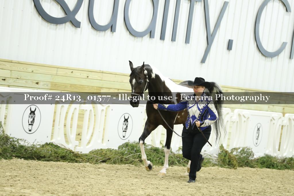 Proof 24R13_01577