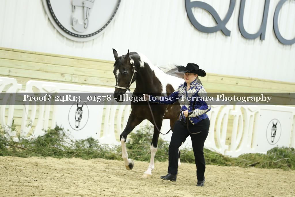 Proof 24R13_01578