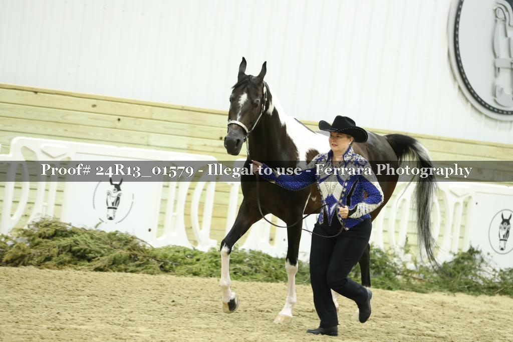 Proof 24R13_01579