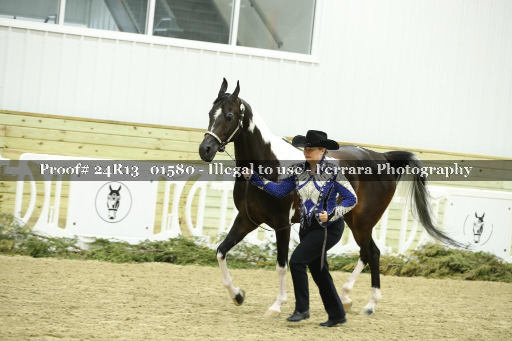 Proof 24R13_01580