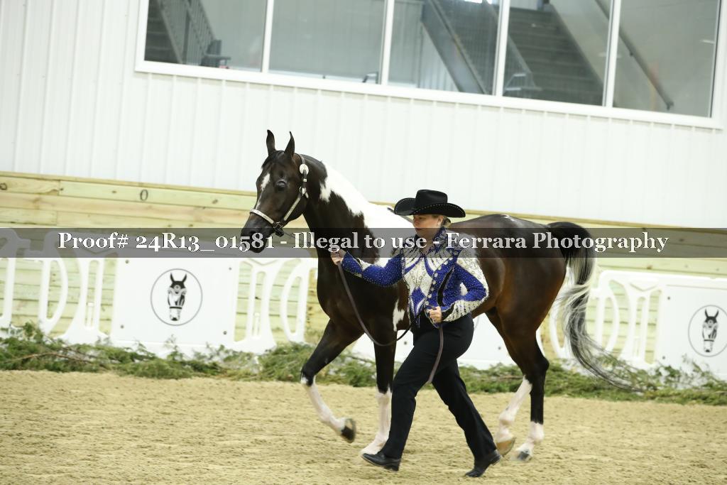 Proof 24R13_01581