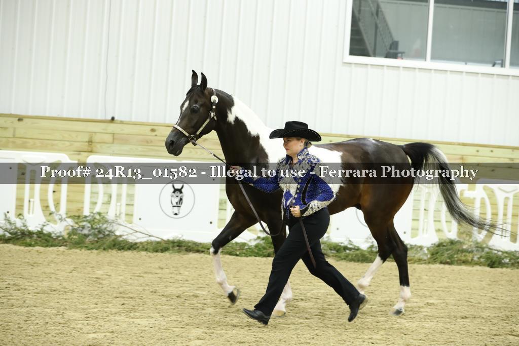 Proof 24R13_01582