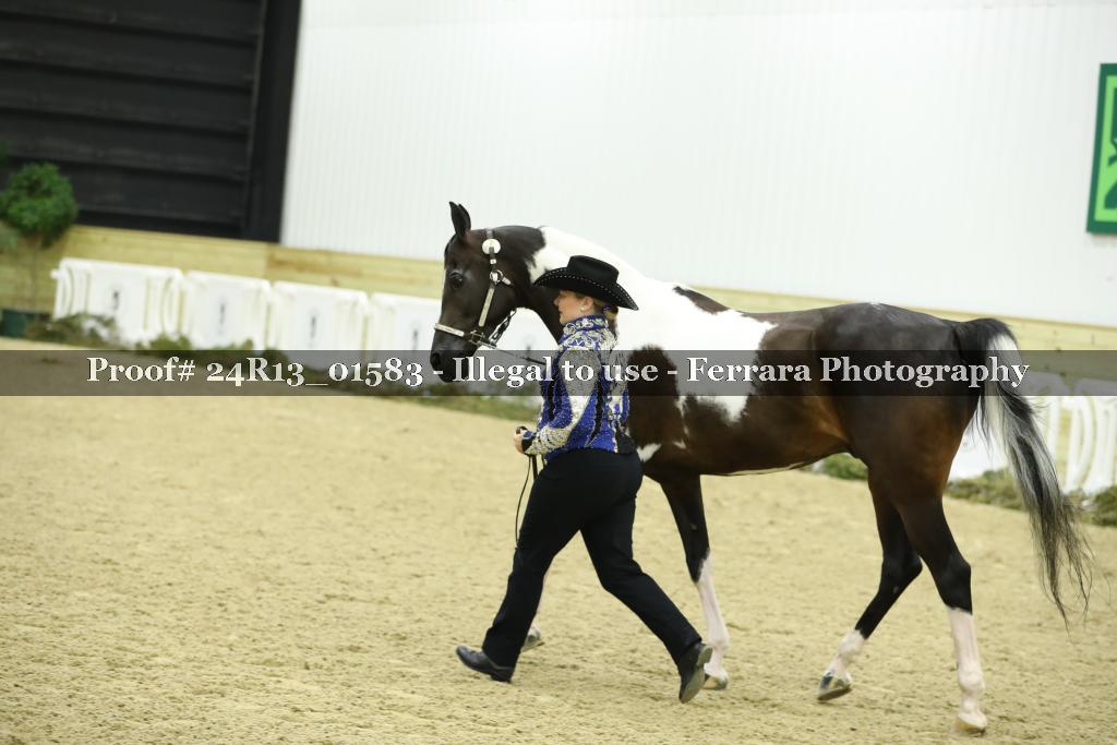 Proof 24R13_01583