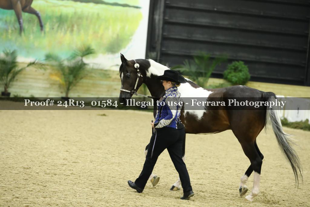 Proof 24R13_01584