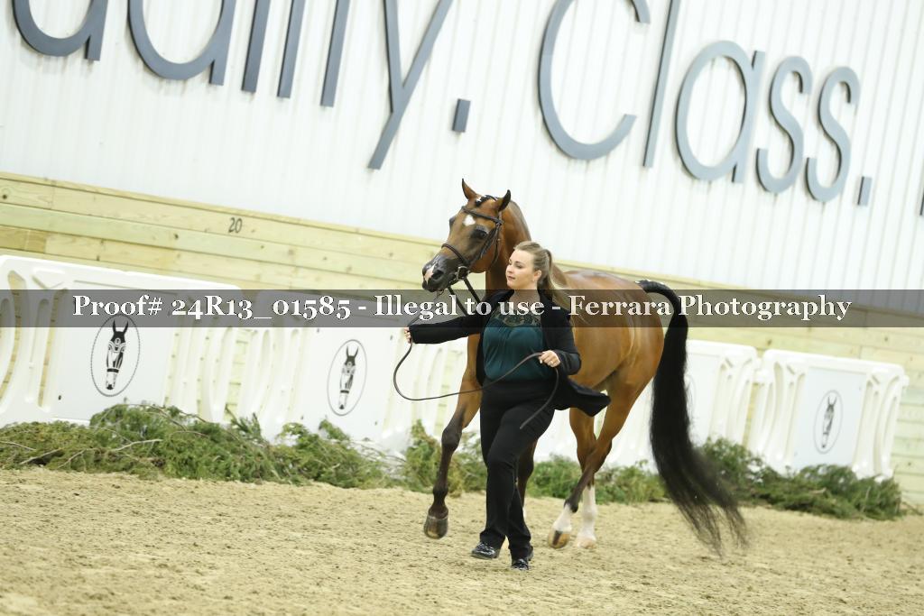 Proof 24R13_01585