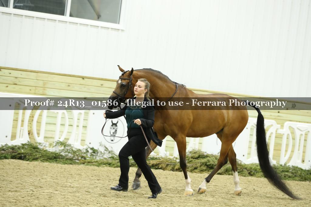 Proof 24R13_01586