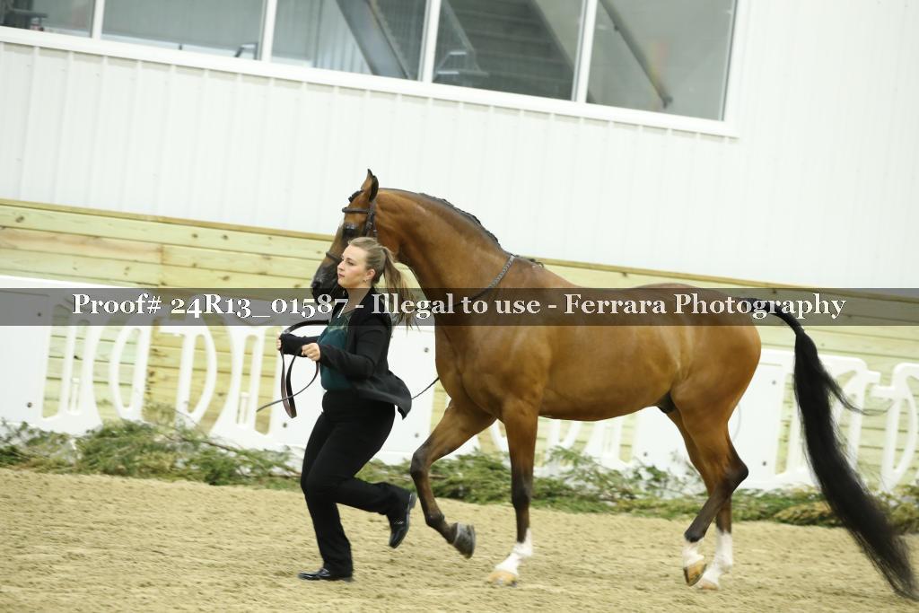 Proof 24R13_01587