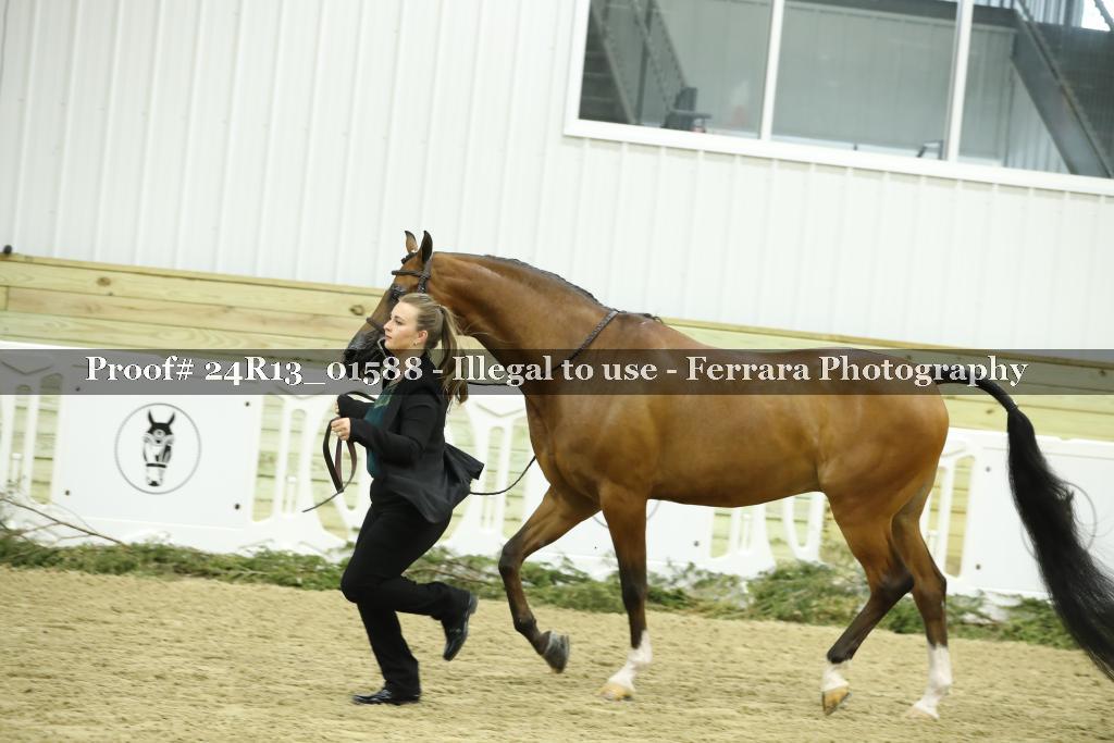 Proof 24R13_01588