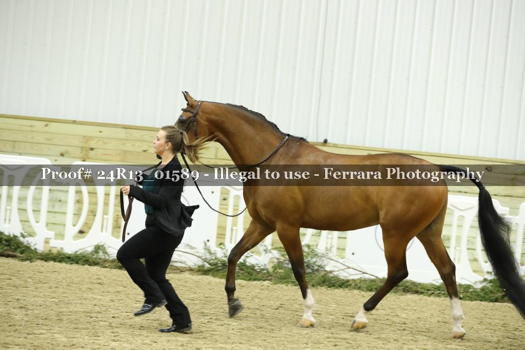 Proof 24R13_01589