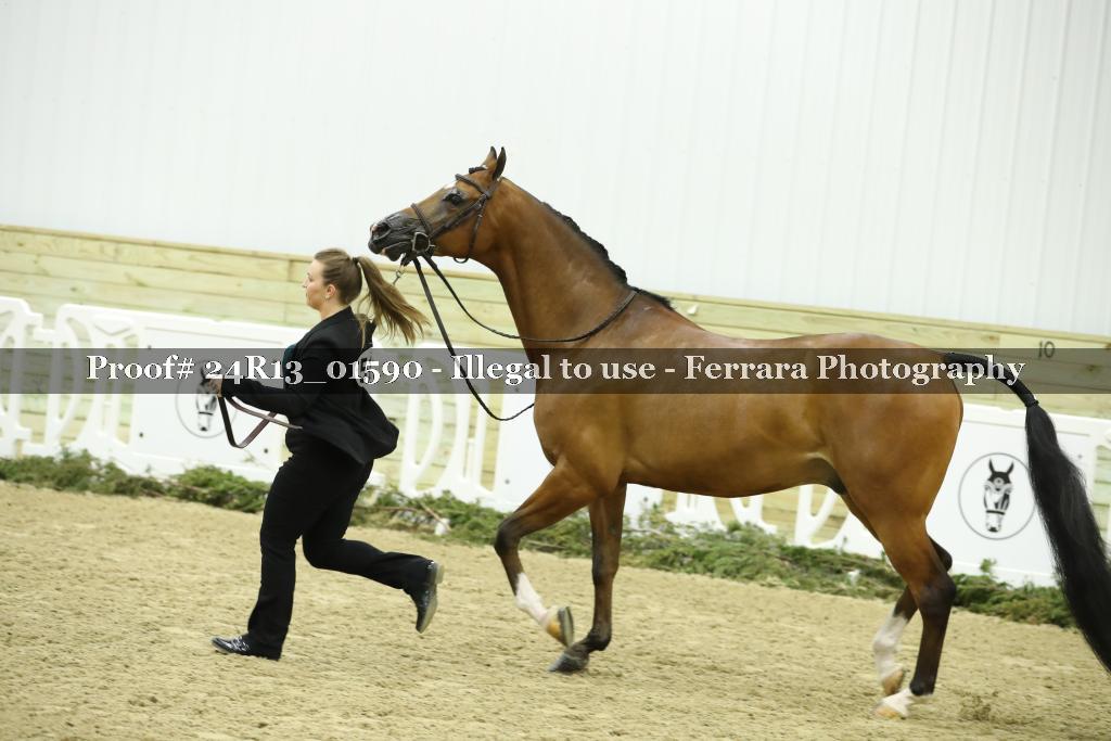 Proof 24R13_01590