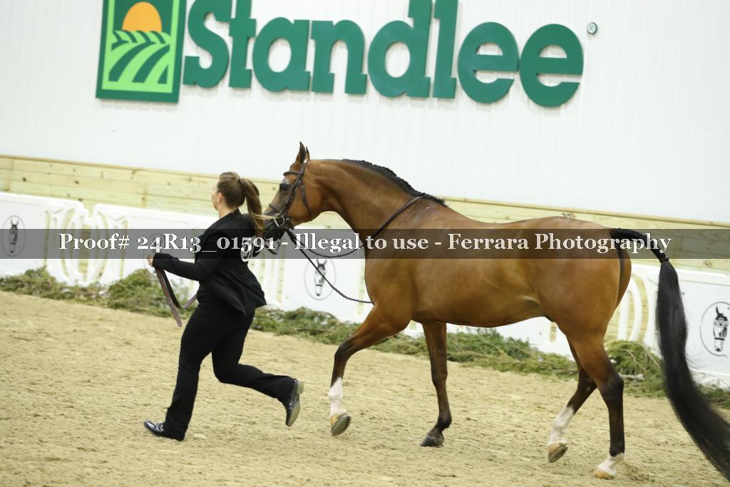 Proof 24R13_01591