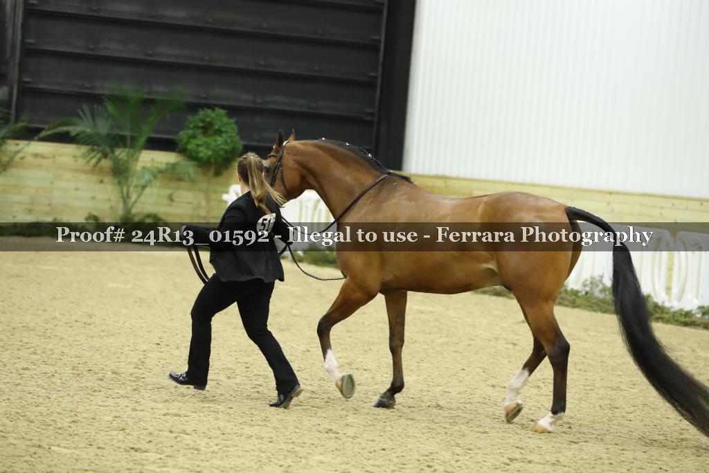 Proof 24R13_01592