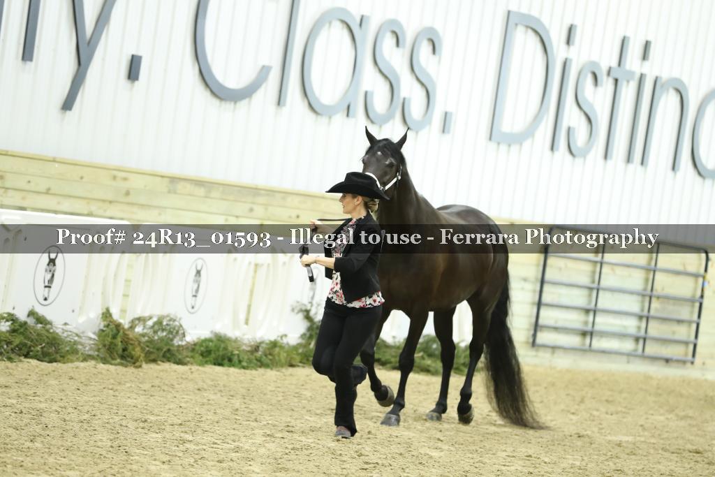 Proof 24R13_01593
