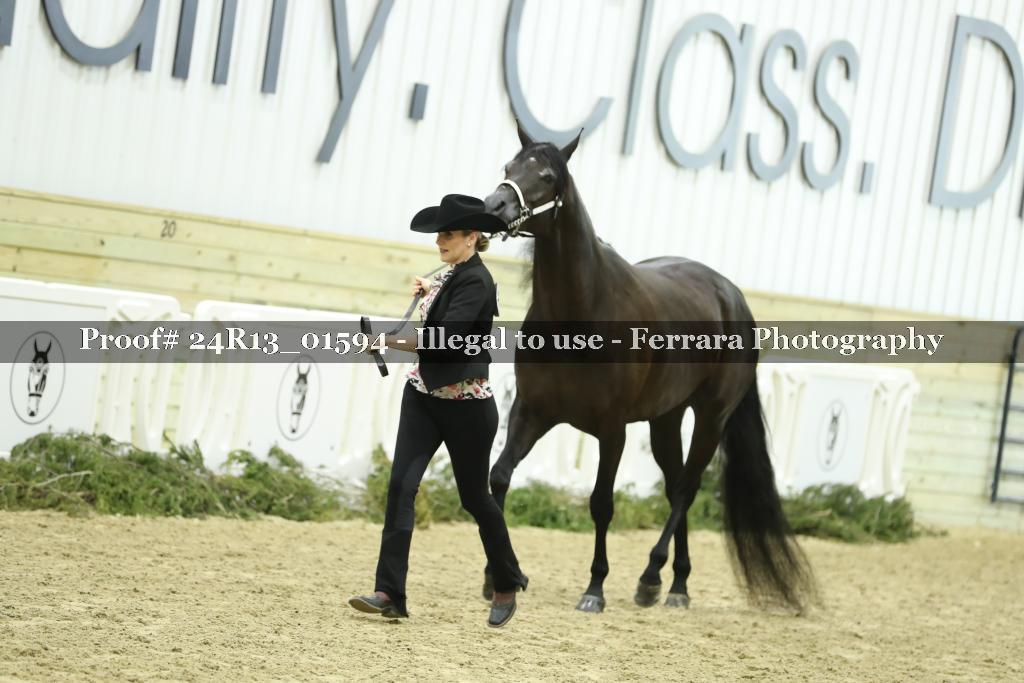 Proof 24R13_01594