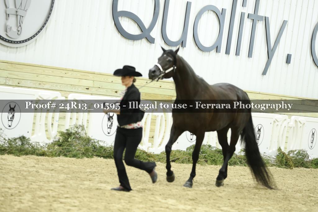 Proof 24R13_01595