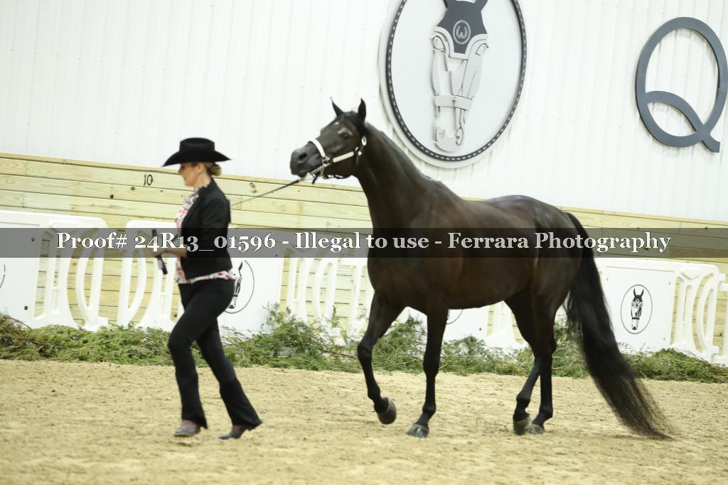 Proof 24R13_01596