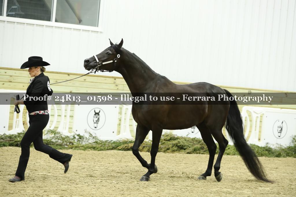 Proof 24R13_01598