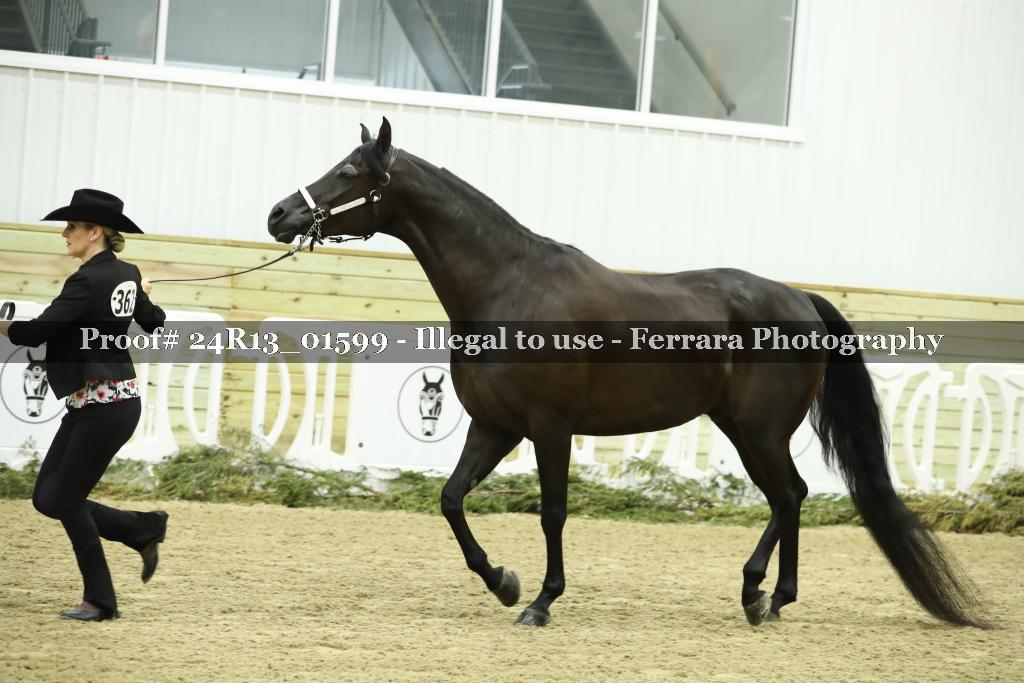 Proof 24R13_01599