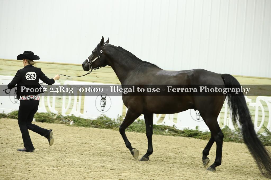 Proof 24R13_01600