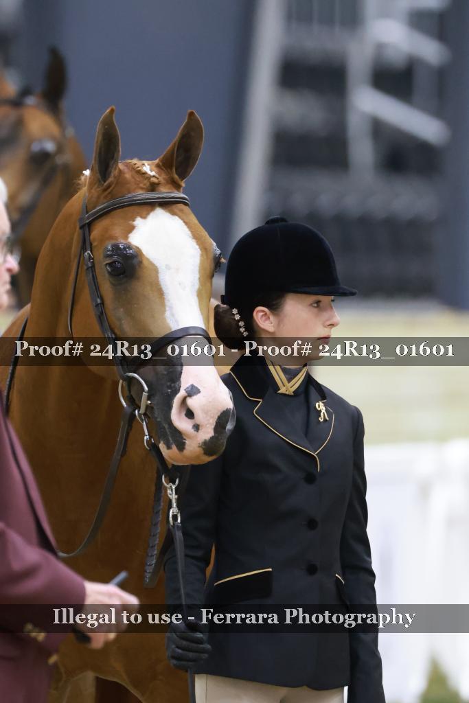 Proof 24R13_01601