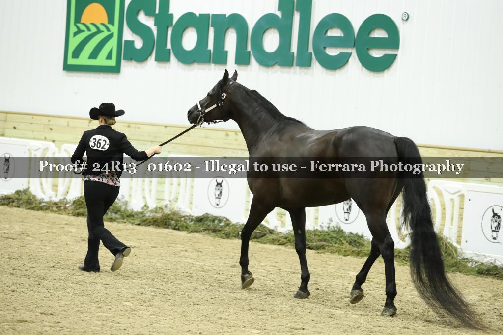 Proof 24R13_01602