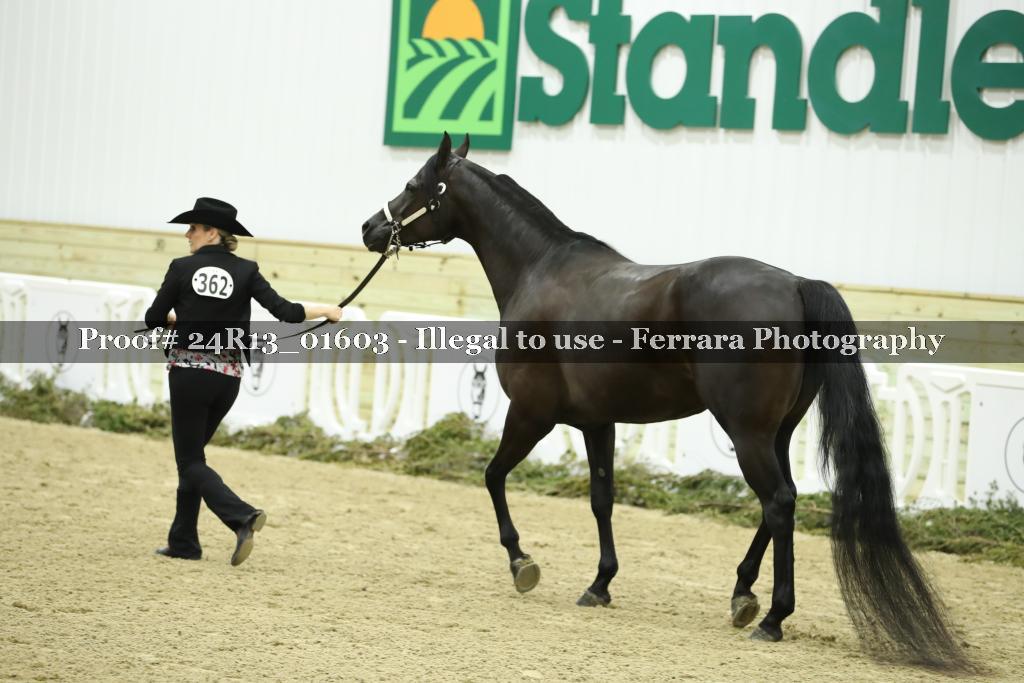 Proof 24R13_01603
