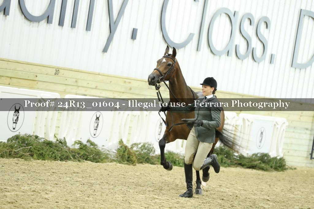 Proof 24R13_01604