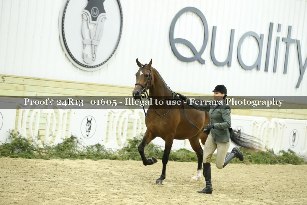 Proof 24R13_01605