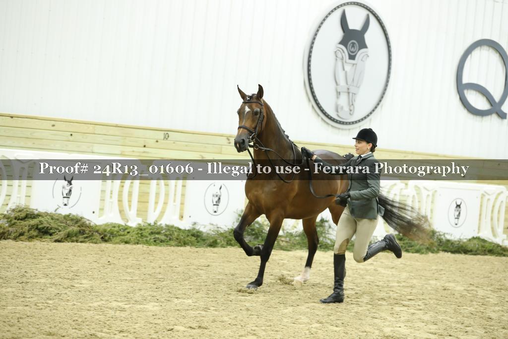 Proof 24R13_01606