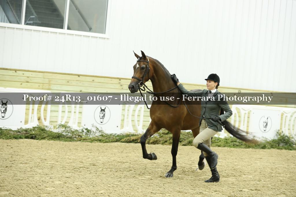 Proof 24R13_01607