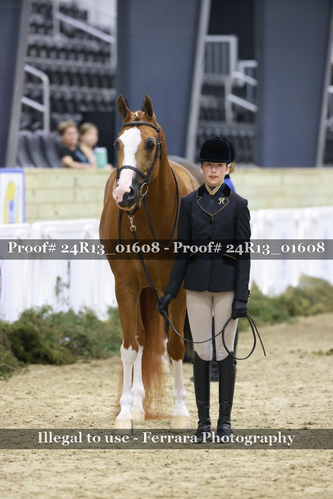 Proof 24R13_01608
