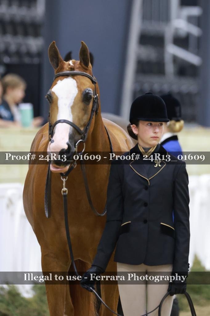 Proof 24R13_01609