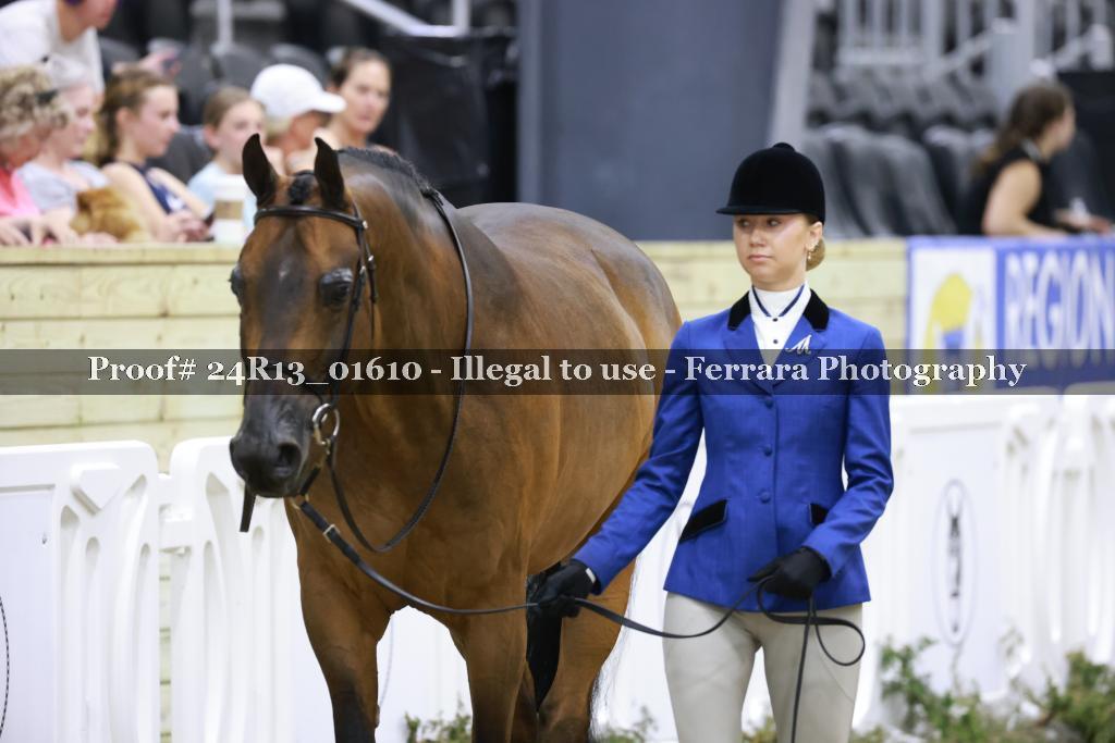 Proof 24R13_01610