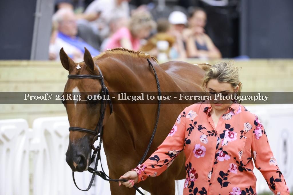 Proof 24R13_01611