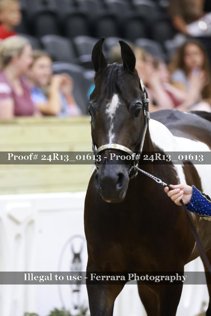 Proof 24R13_01613
