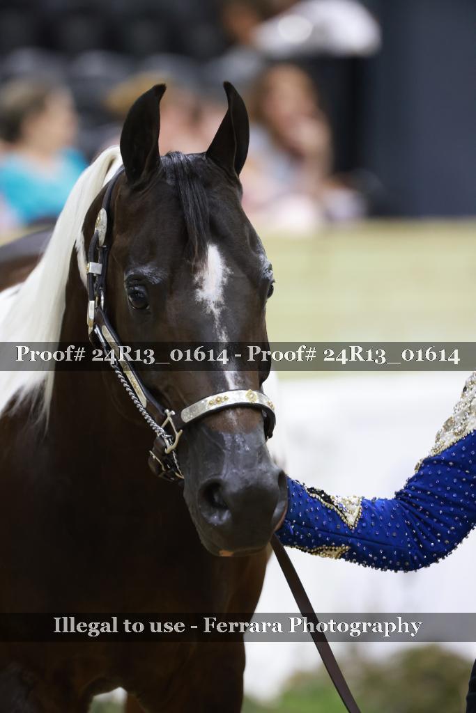 Proof 24R13_01614