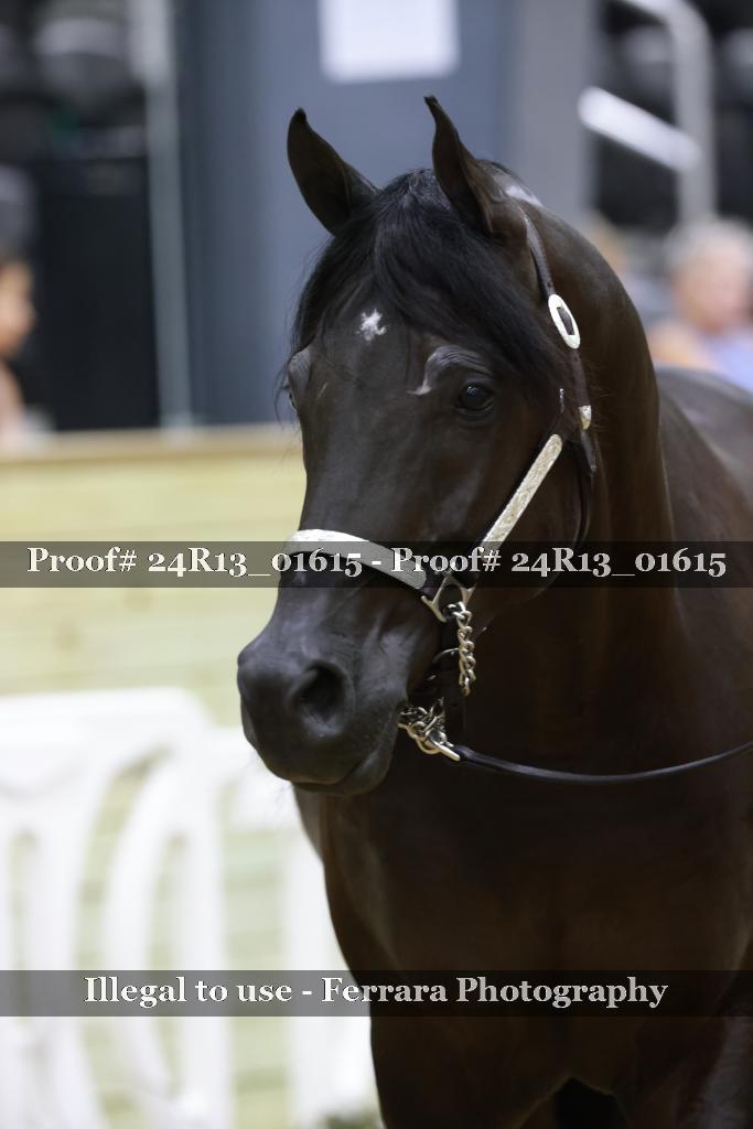 Proof 24R13_01615