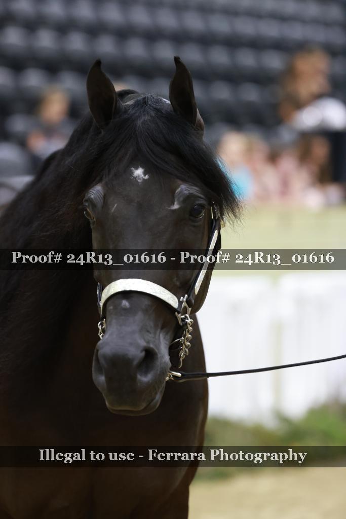 Proof 24R13_01616