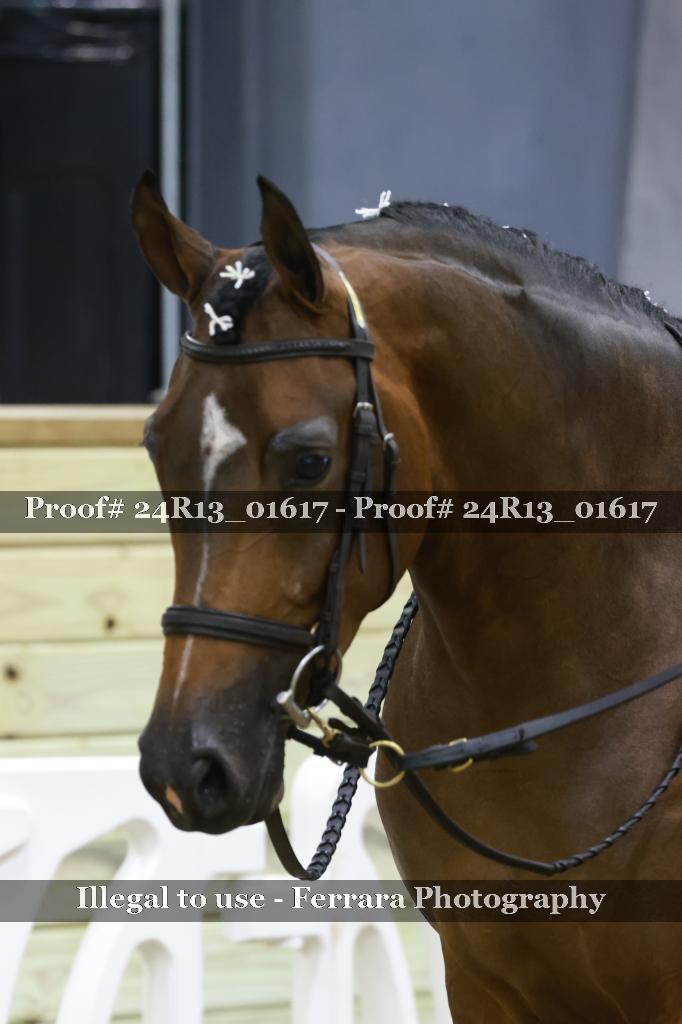 Proof 24R13_01617